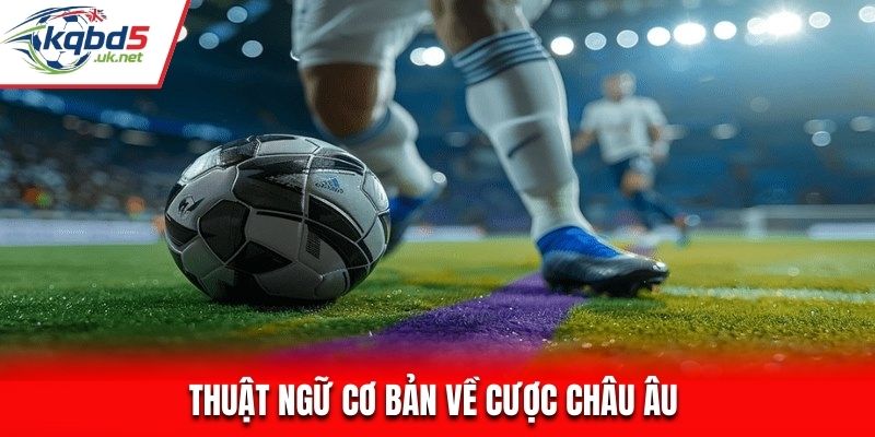 Thuật ngữ cơ bản về cược châu Âu